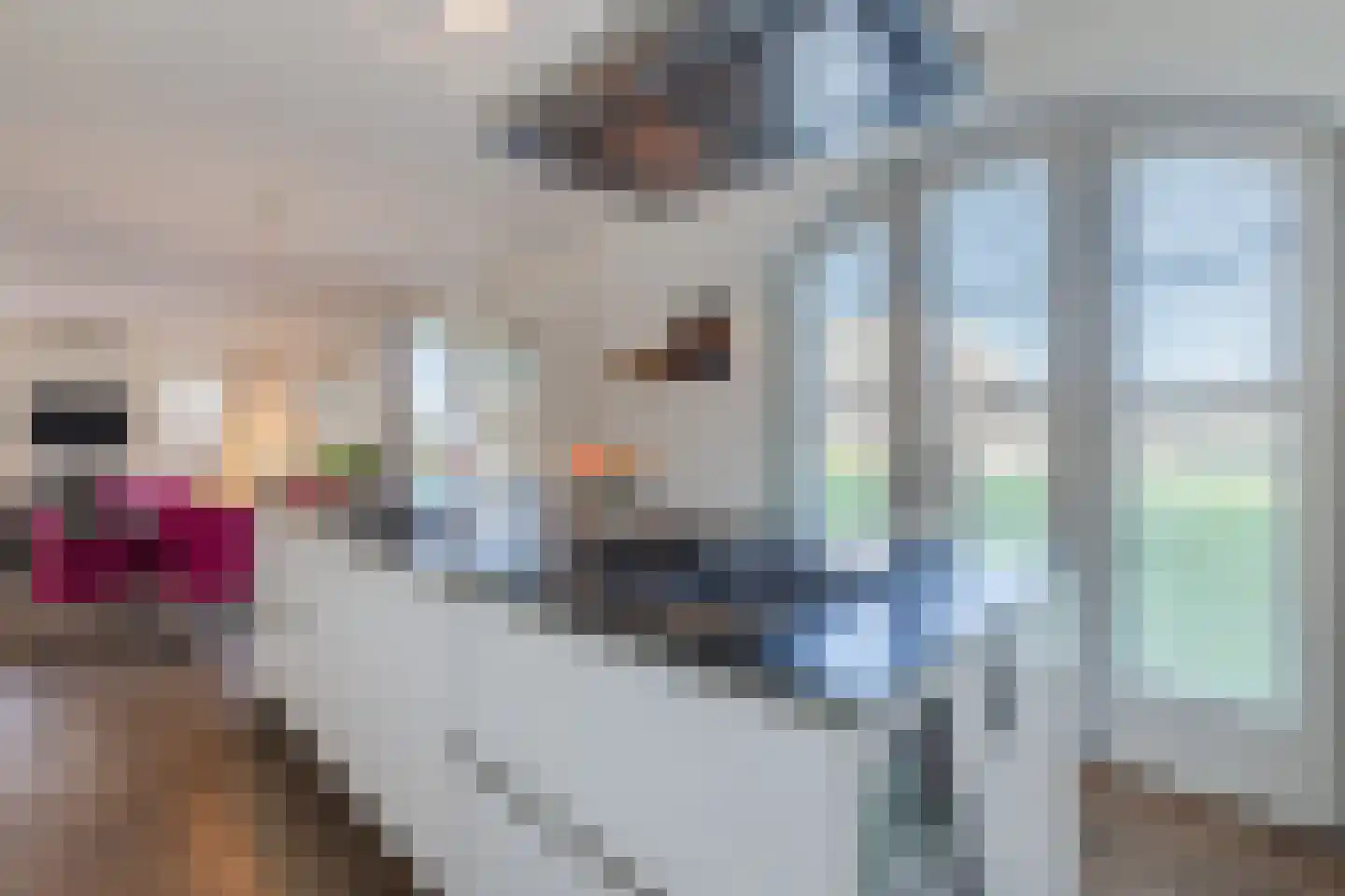 Overweer 29 Breukelen thumbnail 14