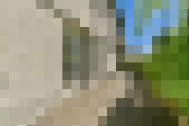 Overweer 9 Breukelen thumbnail 18