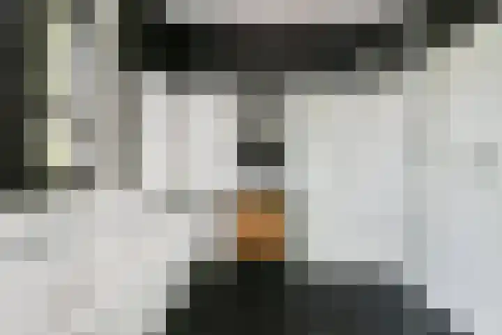 Overweer 9 Breukelen thumbnail 19