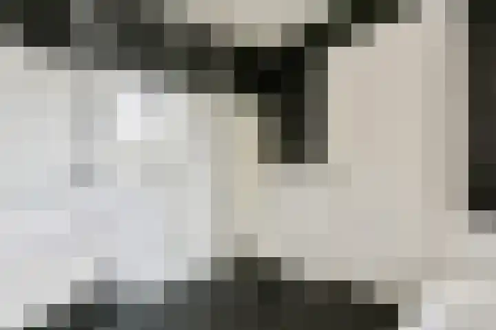 Overweer 9 Breukelen thumbnail 20