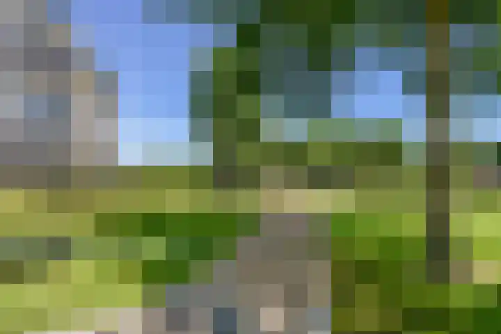 Overweer 9 Breukelen thumbnail 28