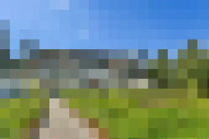 Overweer 9 Breukelen thumbnail 4