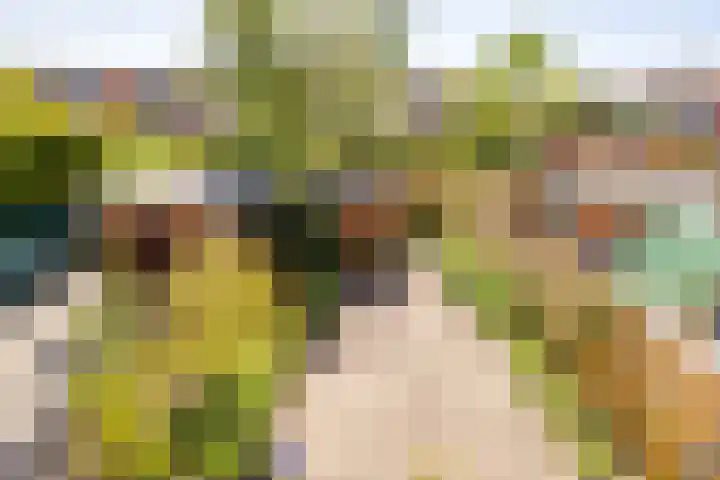 Overweerse polderdijk 46 Purmerend thumbnail 4