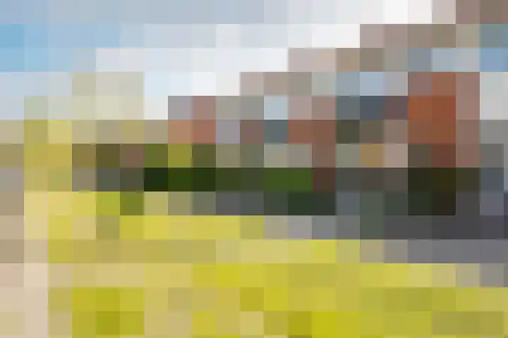 Overweerse polderdijk 46 Purmerend thumbnail 42