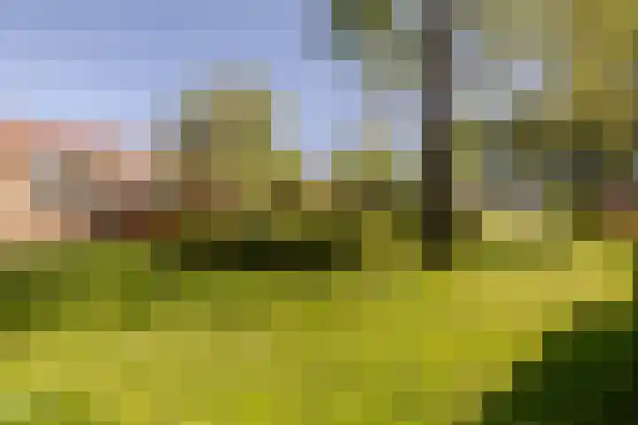 Overweerse polderdijk 46 Purmerend thumbnail 43