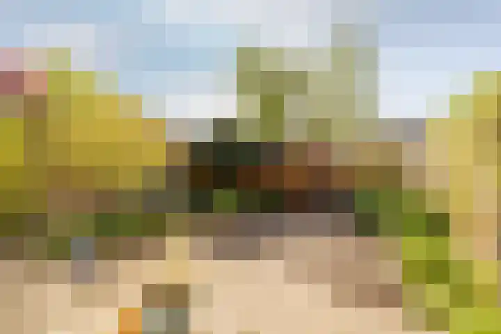 Overweerse polderdijk 46 Purmerend thumbnail 5