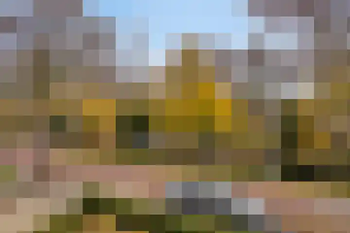 Overweerse polderdijk 7 Purmerend thumbnail 35