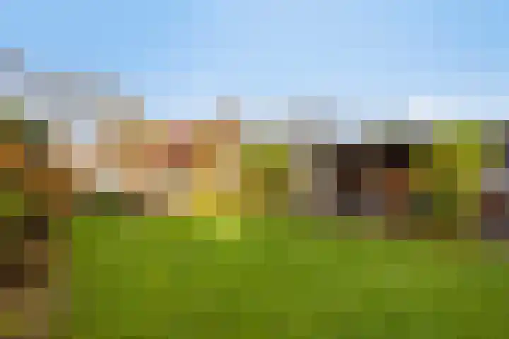 Overweerse polderdijk 7 Purmerend thumbnail 46