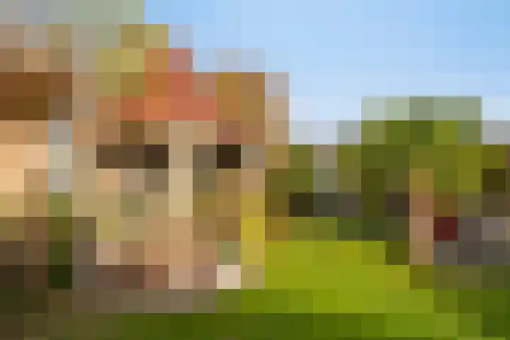 Overweerse polderdijk 7 Purmerend thumbnail 50