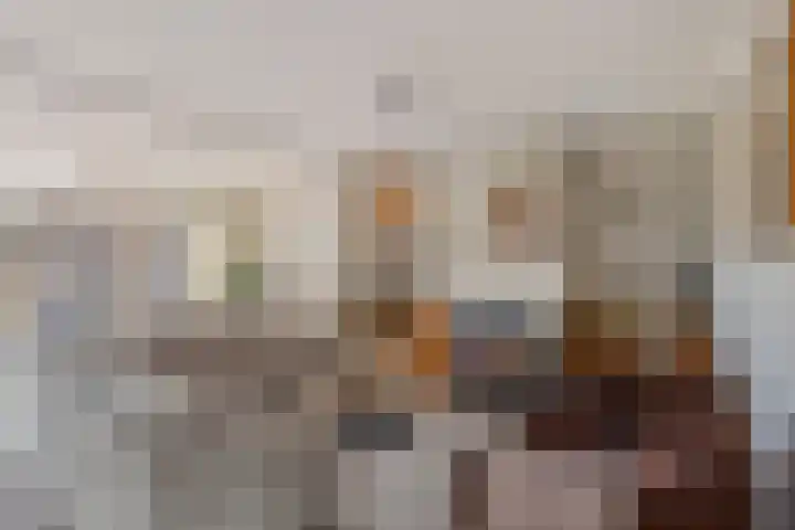 Overweerse polderdijk 7 Purmerend thumbnail 6