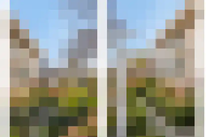 Overweerse polderdijk 7 Purmerend thumbnail 9