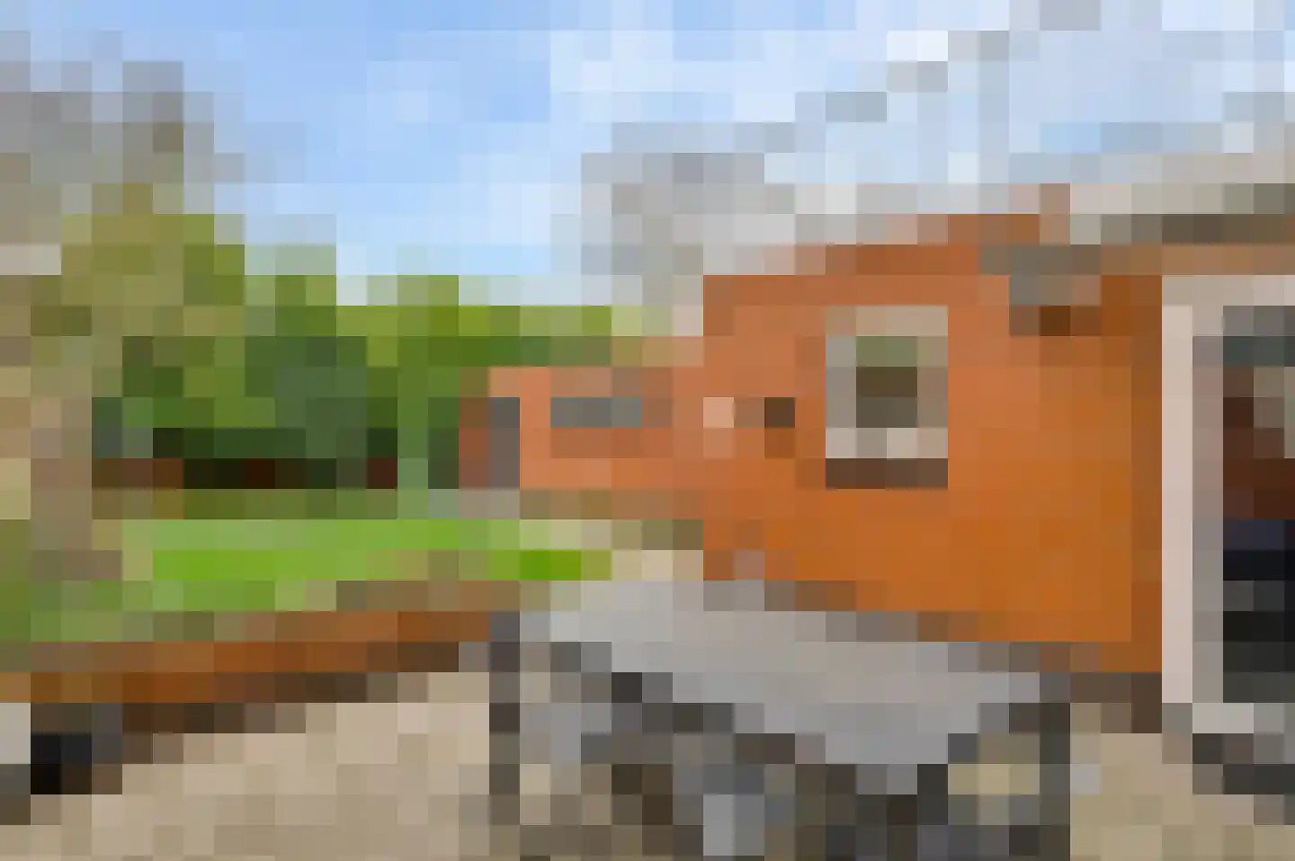 Overweertstraat 27 Weert thumbnail 20
