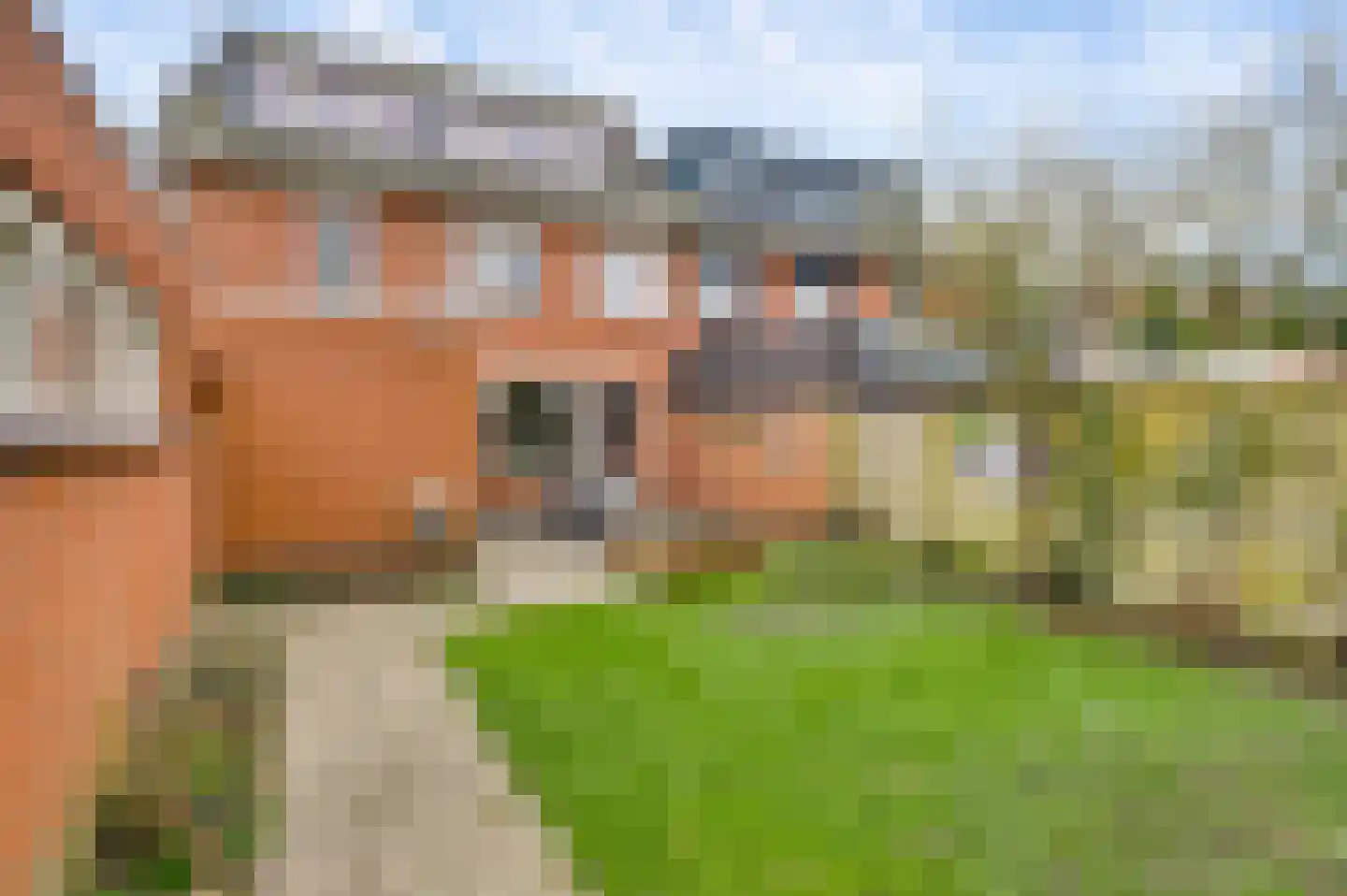 Overweertstraat 27 Weert thumbnail 22