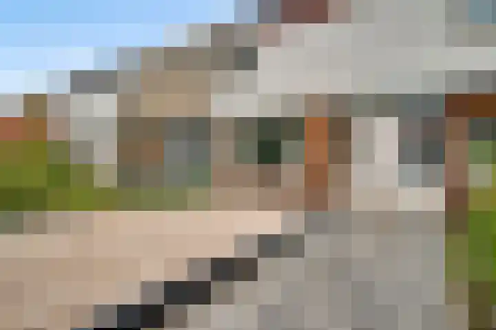 Overweertstraat 65 Weert thumbnail 31