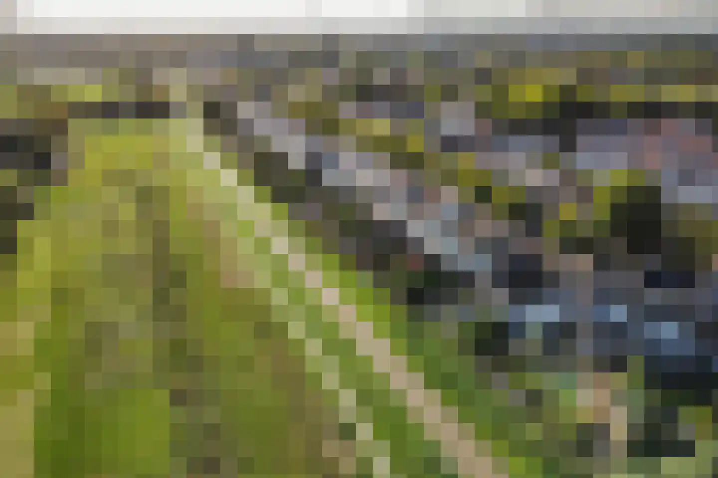 Overweg 155 Ouderkerk aan de Amstel thumbnail 35