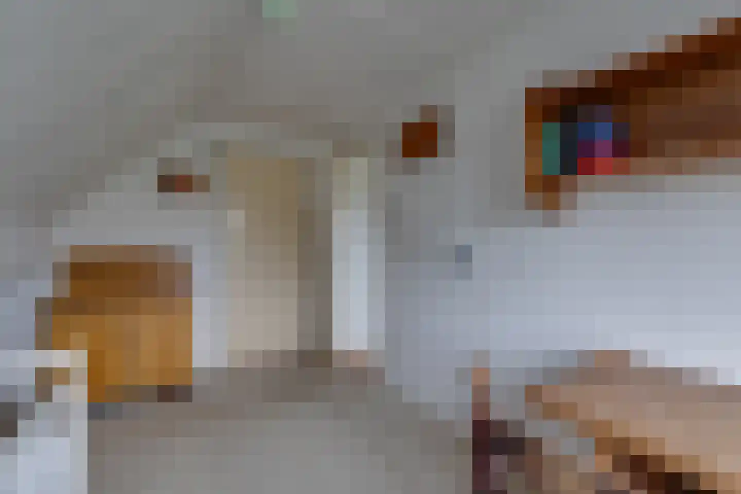 Overweg 17 Vorden thumbnail 24