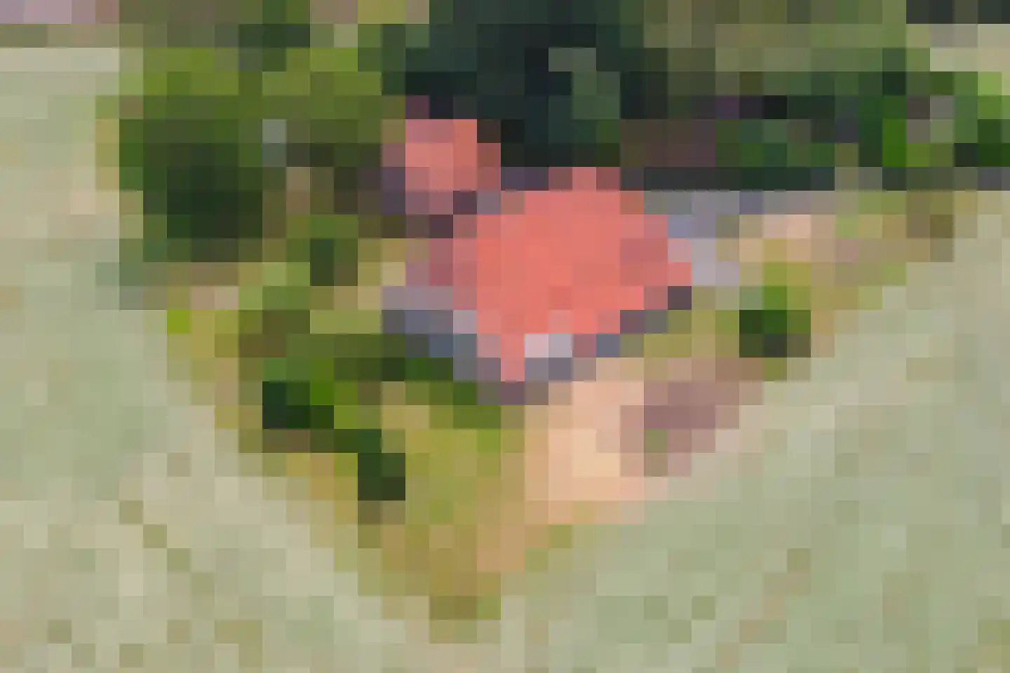 Overweg 17 Vorden thumbnail 4