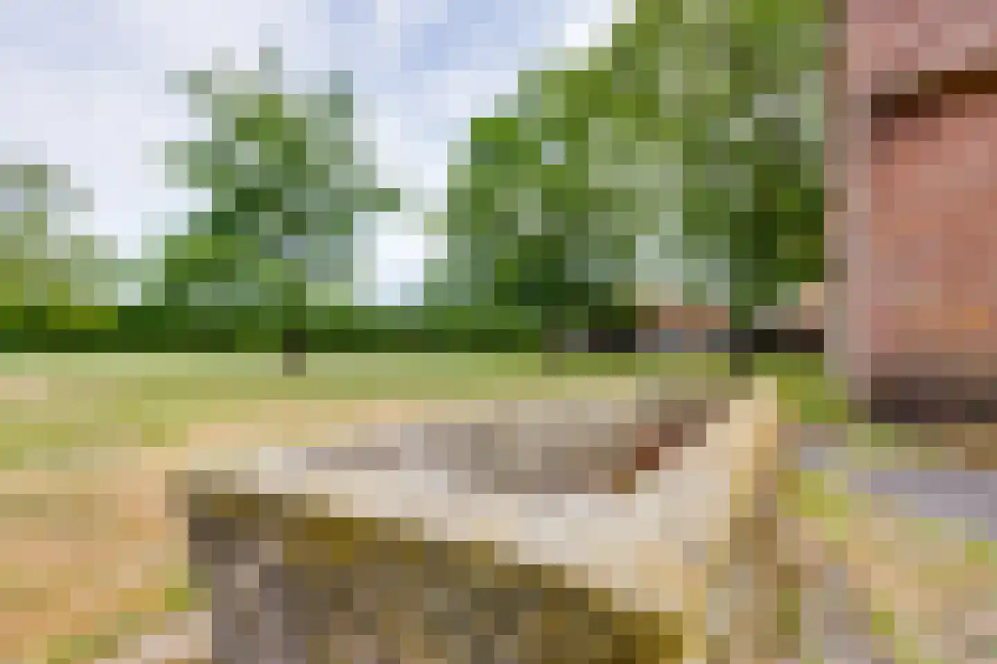 Overweg 17 Vorden thumbnail 40