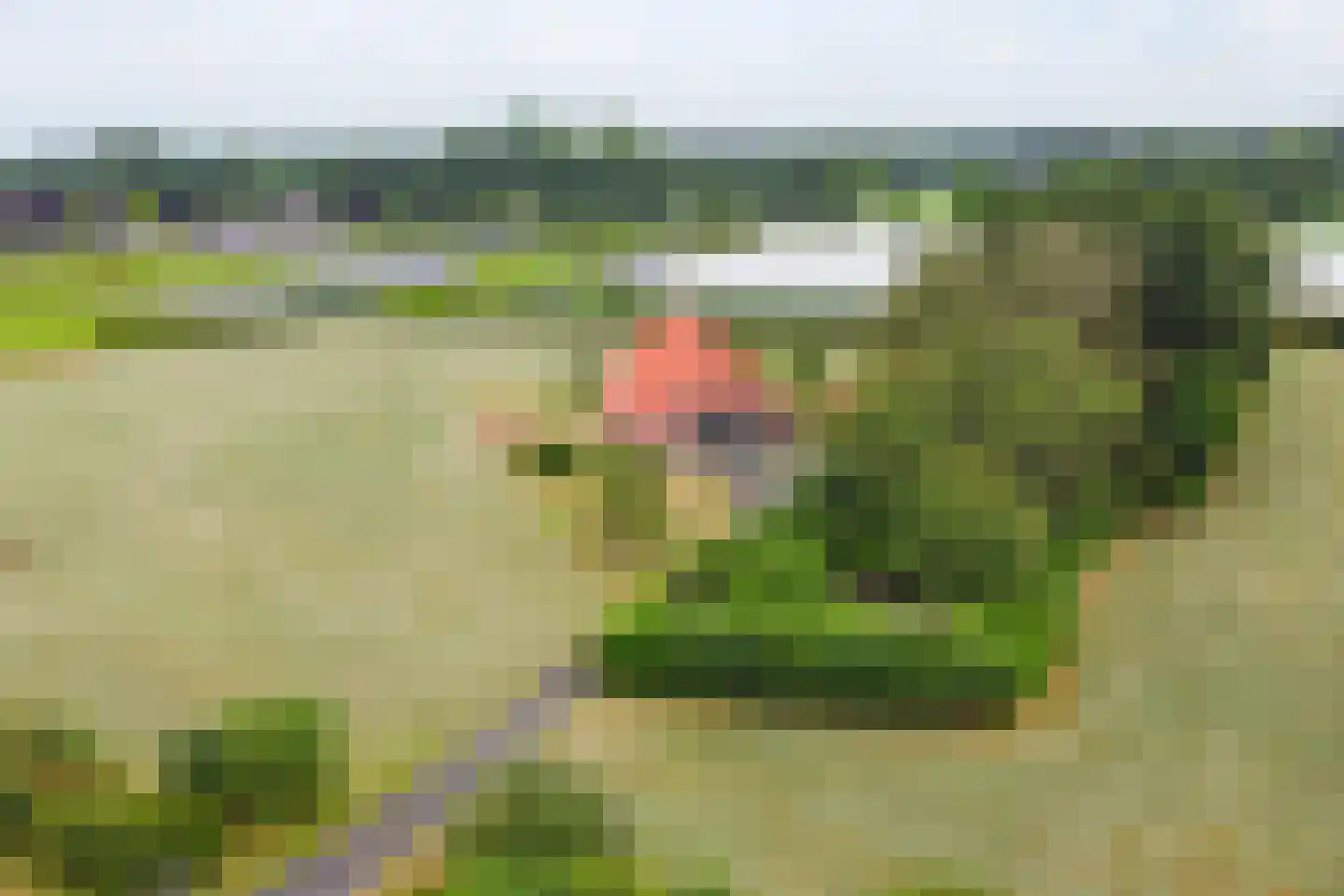Overweg 17 Vorden thumbnail 49