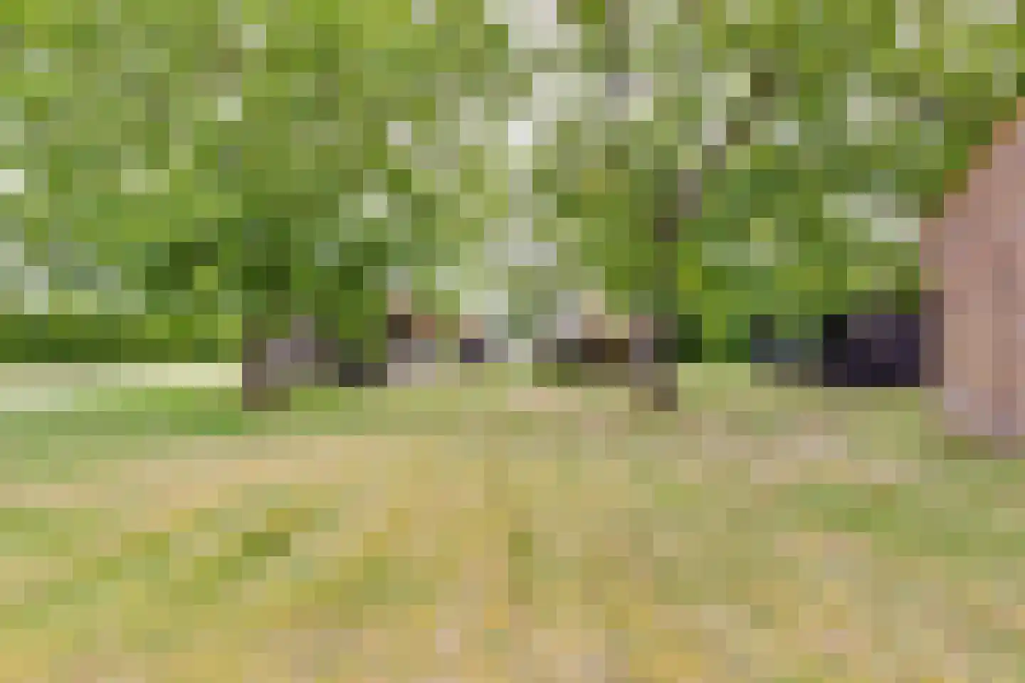 Overweg 17 Vorden thumbnail 6
