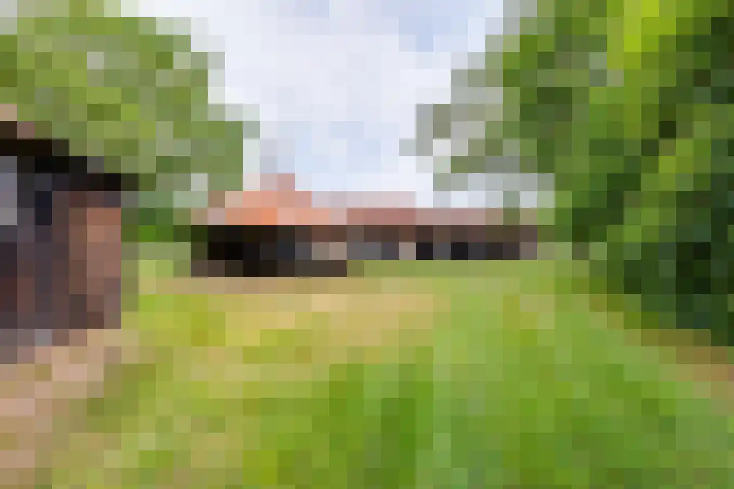 Overweg 17 Vorden thumbnail 9