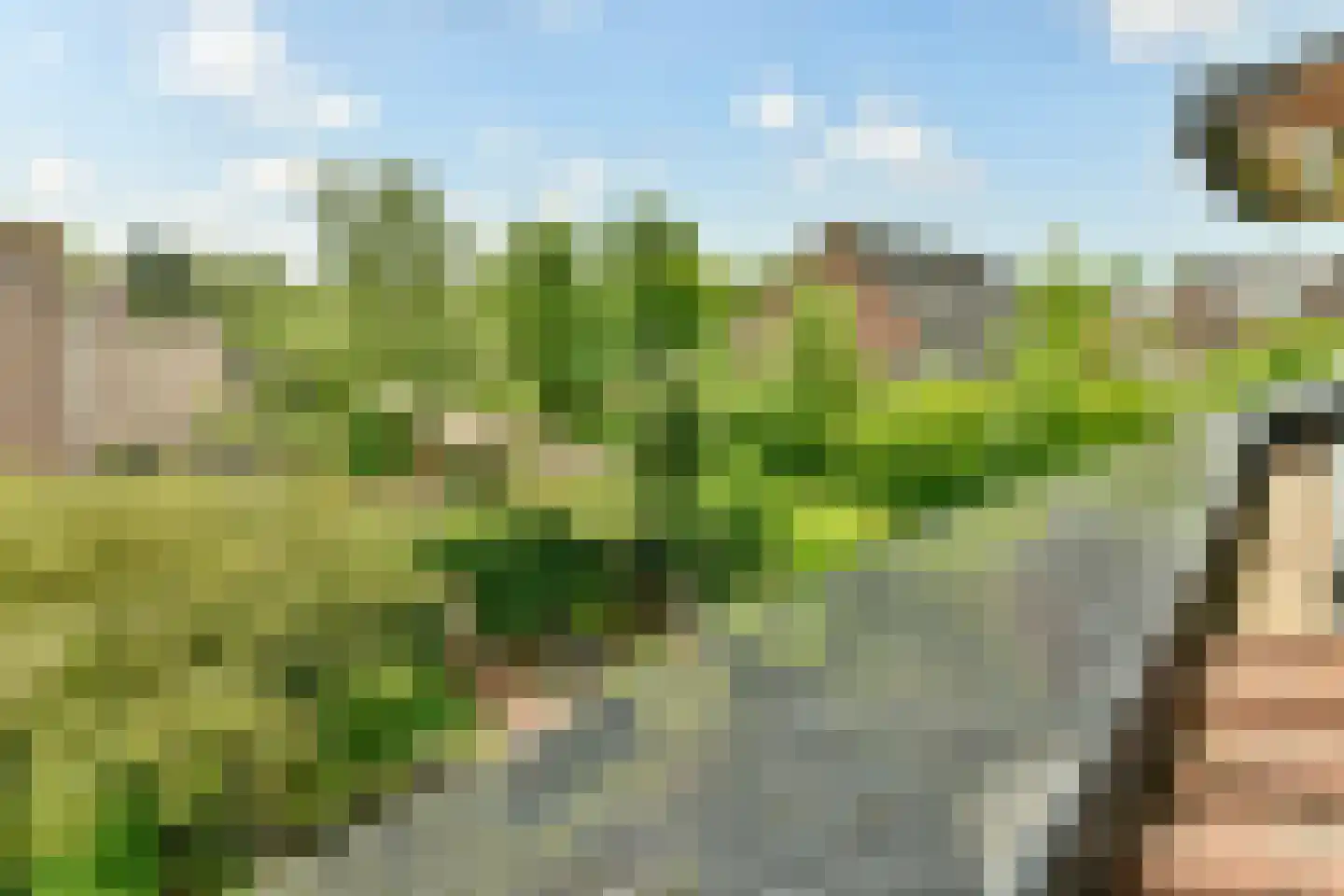 Overweg 30 Ouderkerk aan de Amstel thumbnail 23