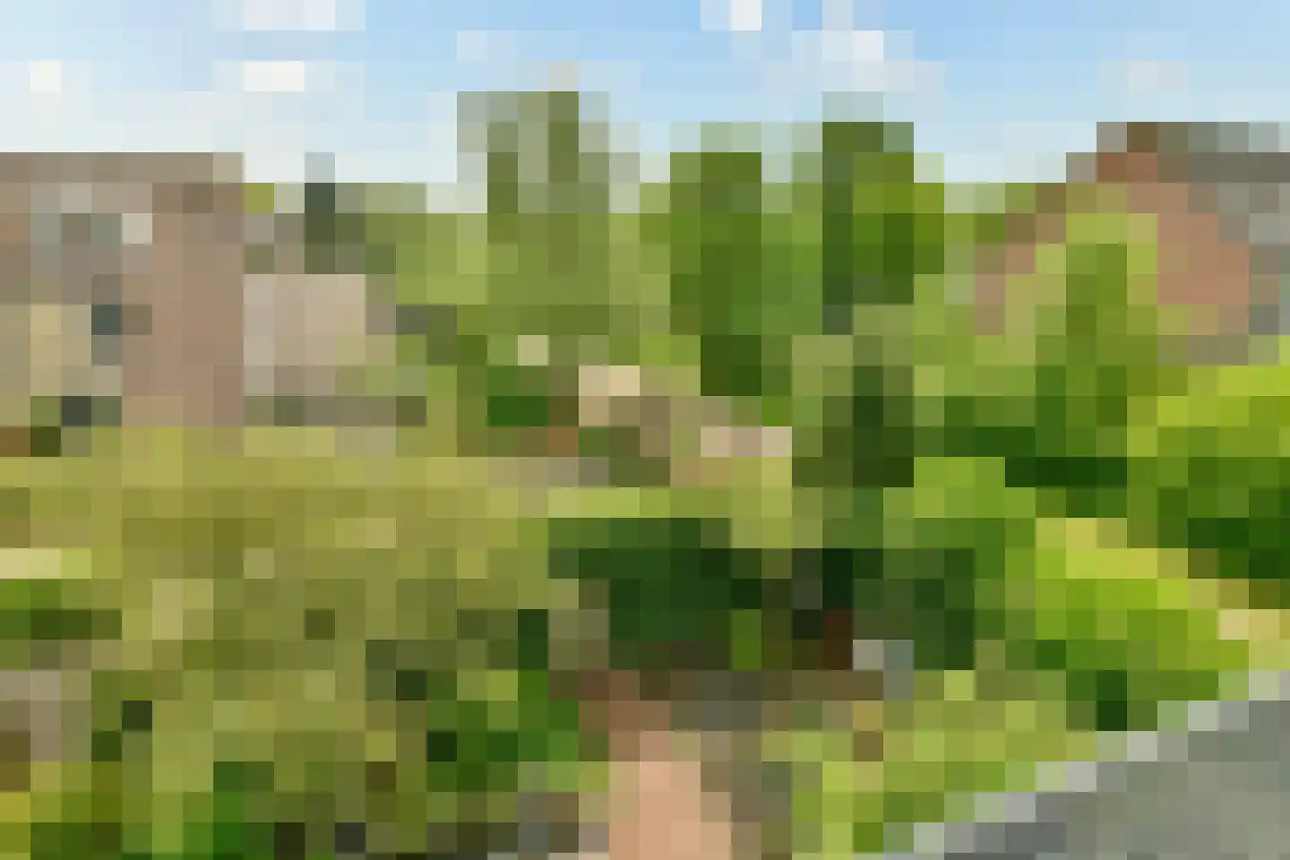 Overweg 30 Ouderkerk aan de Amstel thumbnail 24