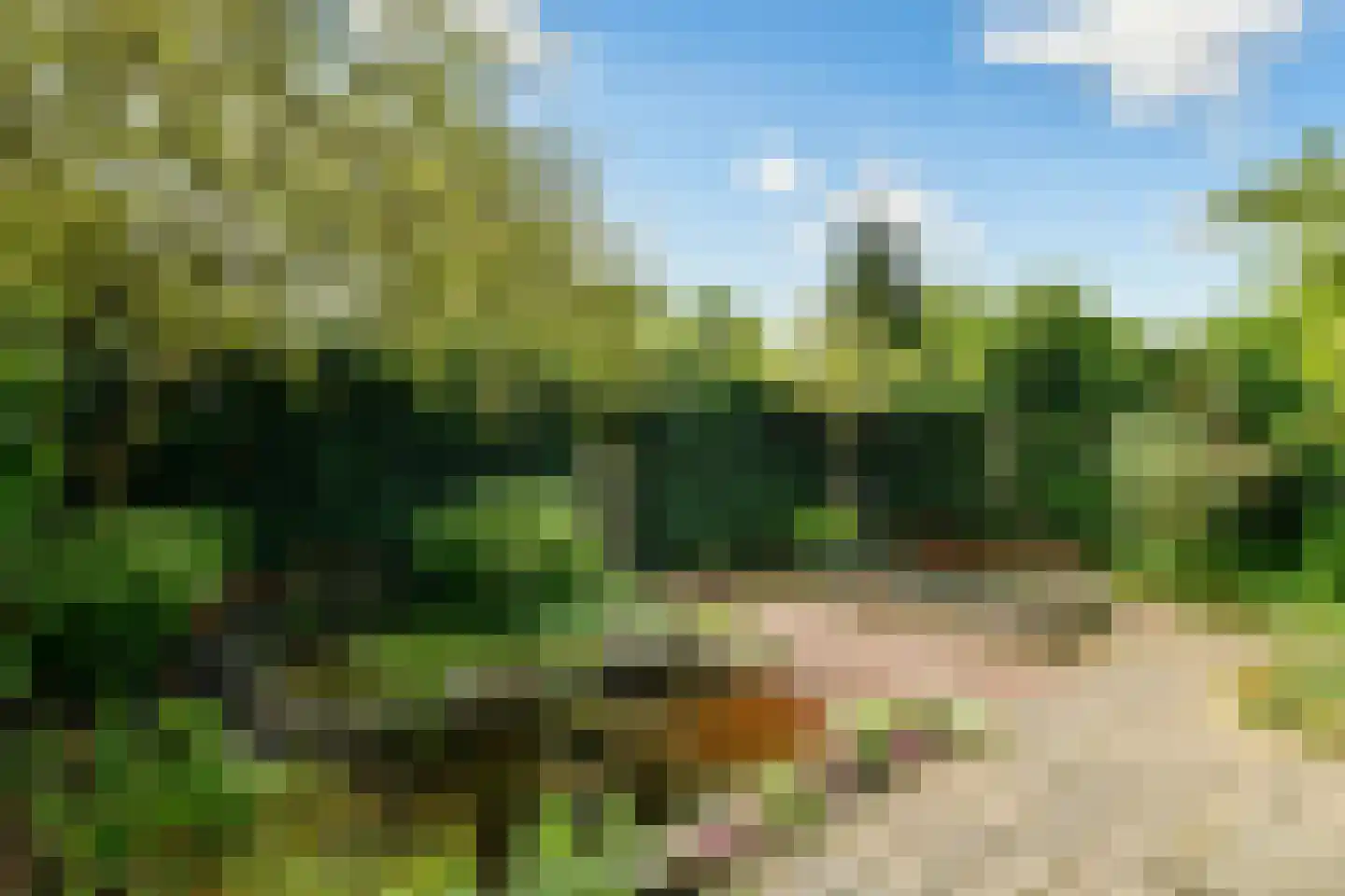 Overweg 30 Ouderkerk aan de Amstel thumbnail 25