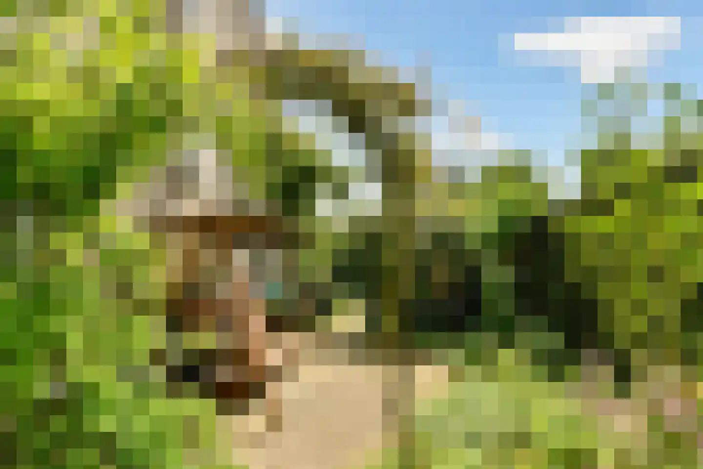 Overweg 30 Ouderkerk aan de Amstel thumbnail 29