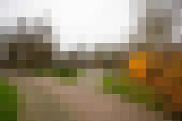 Overweg 32 Ouderkerk aan de Amstel thumbnail 32