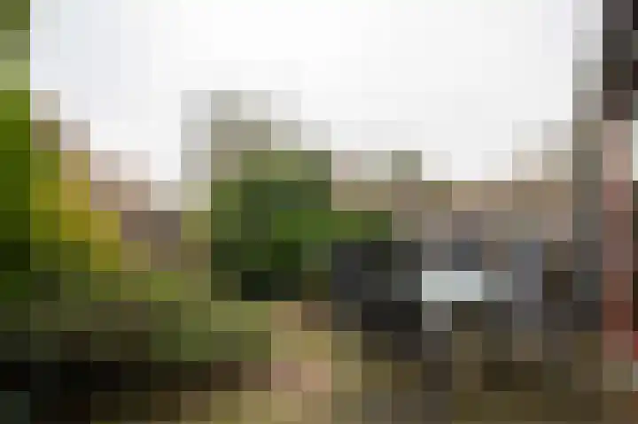 Overweg 32 Ouderkerk aan de Amstel thumbnail 4
