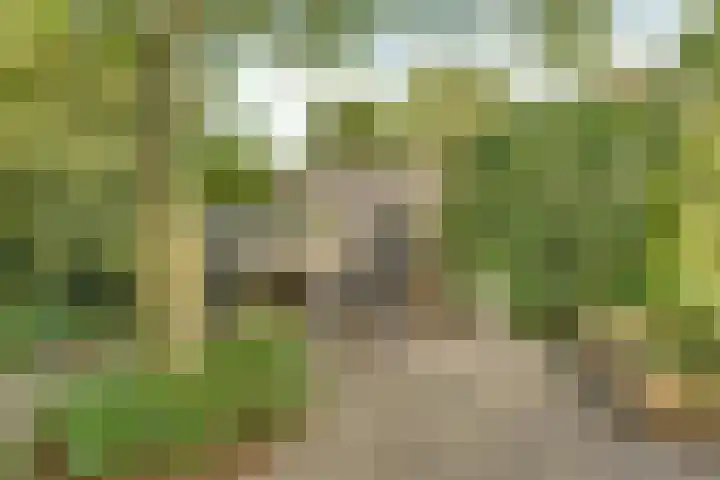 Overweg 51 Spankeren thumbnail 34