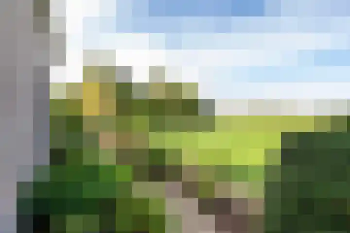 Overwijker Maat 5 Maurik thumbnail 15