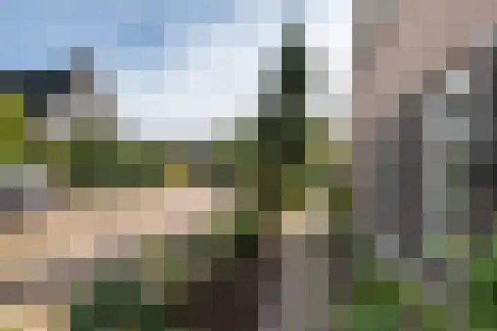 Overwijker Maat 5 Maurik thumbnail 16
