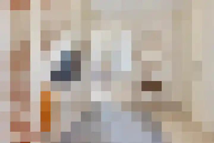 Overwijker Maat 5 Maurik thumbnail 18