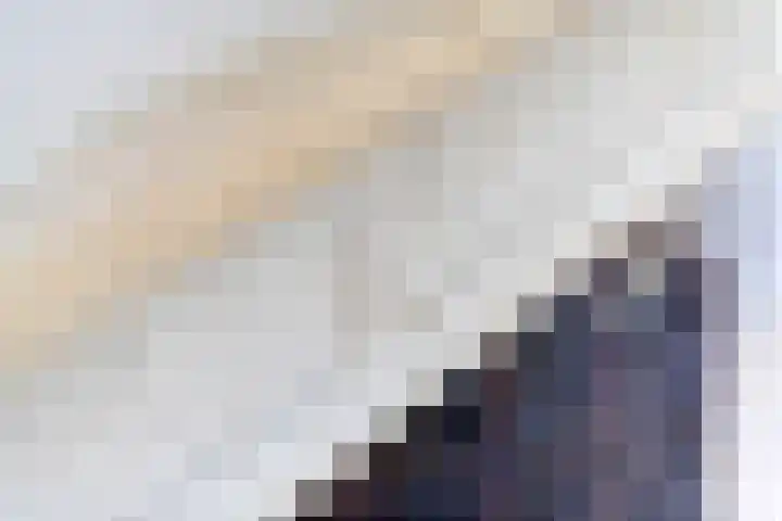 Overwijker Maat 5 Maurik thumbnail 38