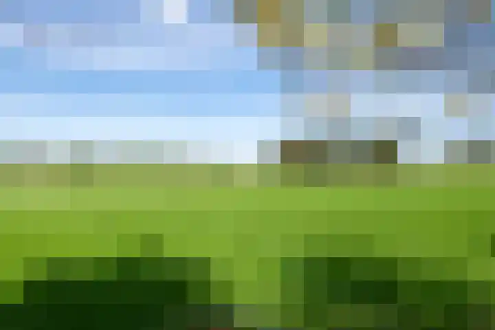 Overwijker Maat 5 Maurik thumbnail 4