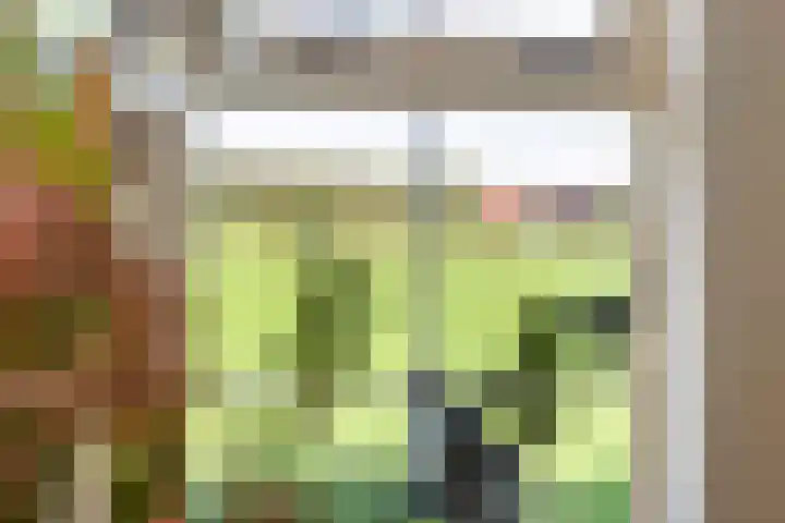 Overwijker Maat 5 Maurik thumbnail 43