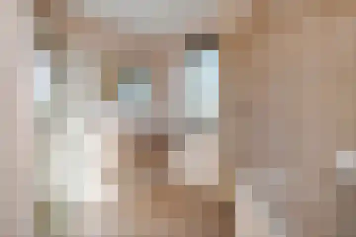 Overwijker Maat 5 Maurik thumbnail 46