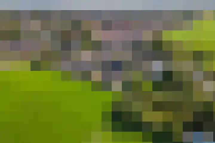 Overwijker Maat 5 Maurik thumbnail 61