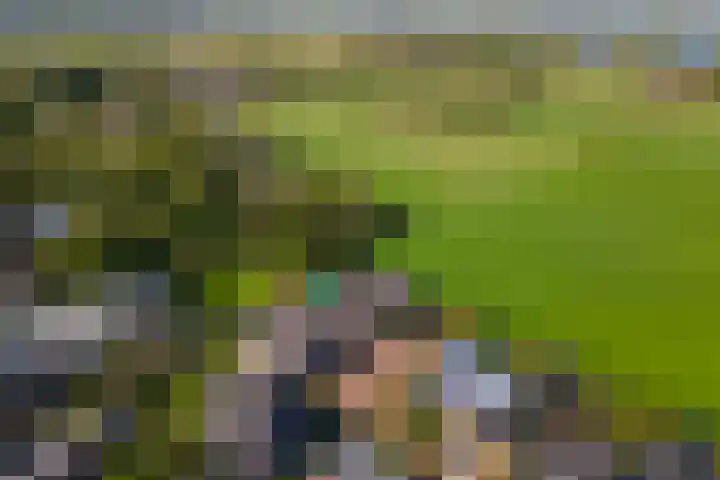 Overwijker Maat 5 Maurik thumbnail 62