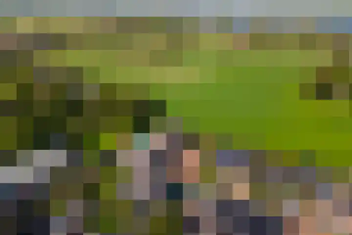 Overwijker Maat 5 Maurik thumbnail 63