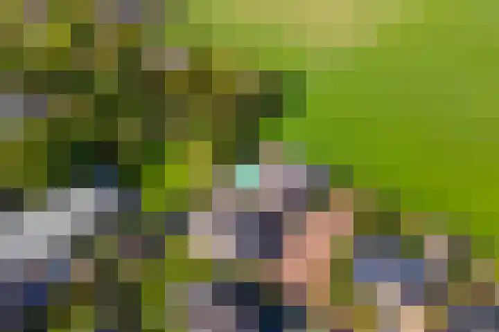 Overwijker Maat 5 Maurik thumbnail 64