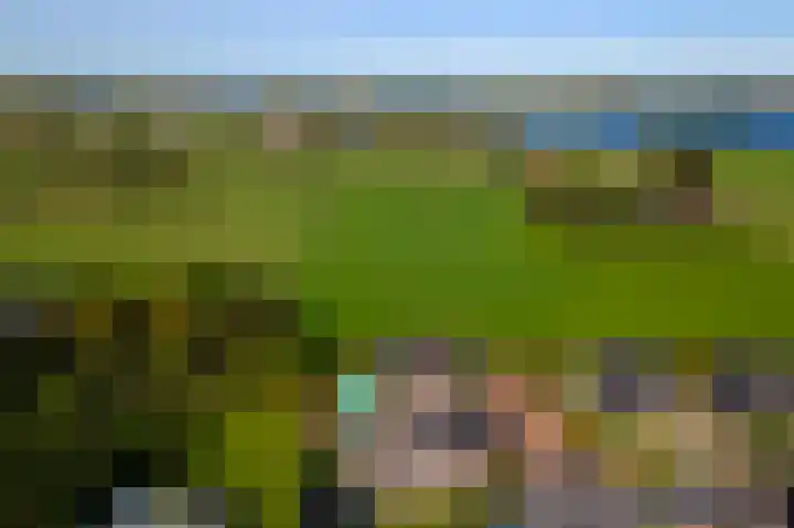 Overwijker Maat 5 Maurik thumbnail 66