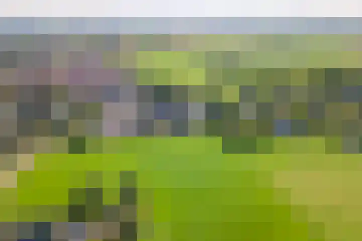 Overwijker Maat 5 Maurik thumbnail 68
