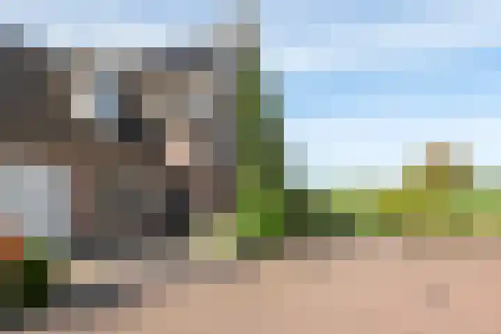 Overwijker Maat 5 Maurik thumbnail 7