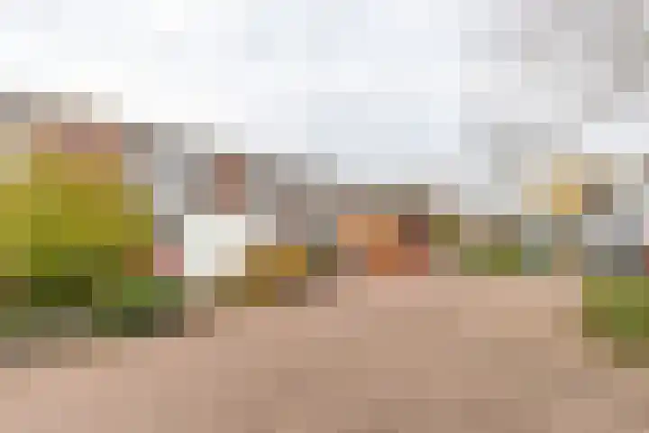 Overwinningsplein 5 13 Groningen thumbnail 29