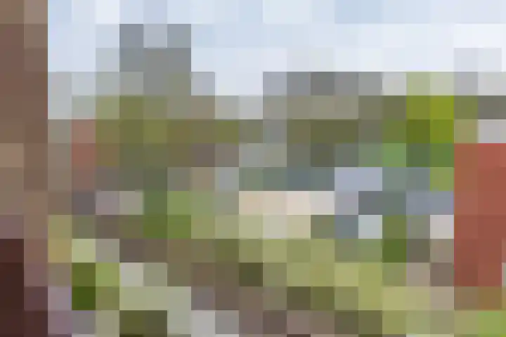 Overwinningsplein 5 13 Groningen thumbnail 5