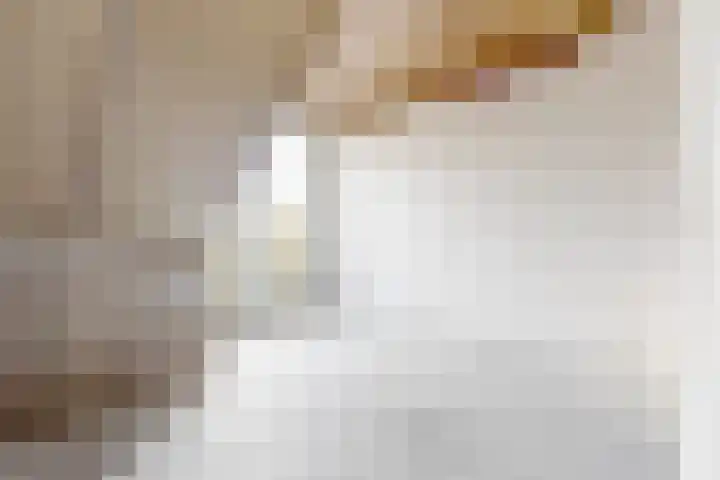 Overzicht 2 J Kamerik thumbnail 18