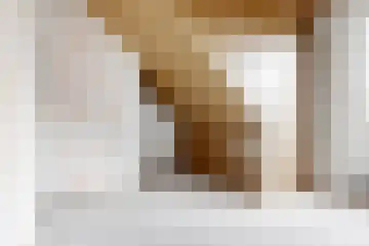 Overzicht 2 J Kamerik thumbnail 20